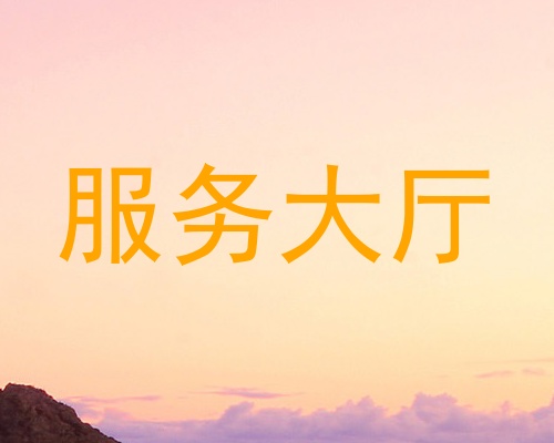 服务大厅