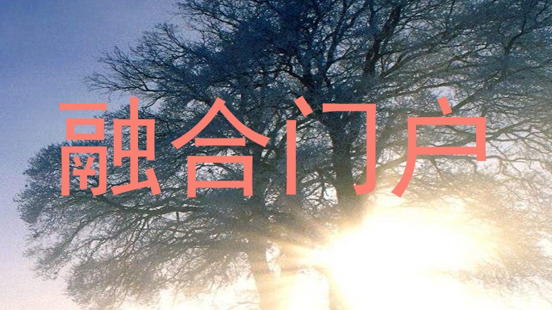 融合门户