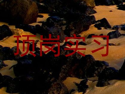 顶岗实习