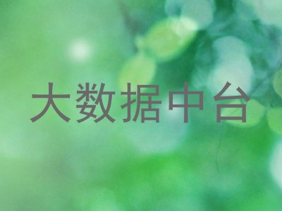 大数据中台