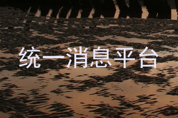 统一消息平台