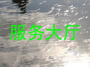 服务大厅