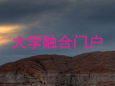 大学融合门户