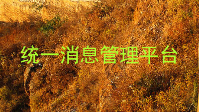 统一消息管理平台