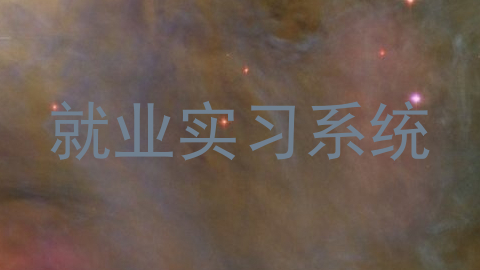 就业实习系统