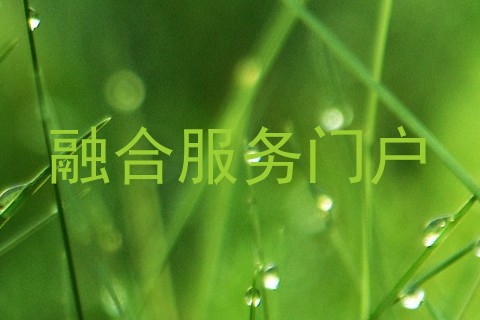 融合服务门户