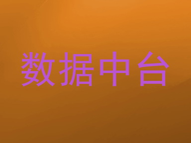 数据中台