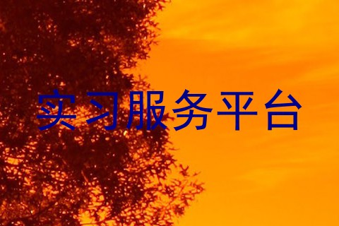 实习服务平台