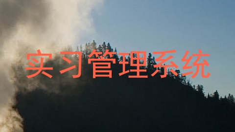 实习管理系统