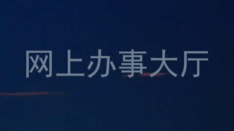 网上办事大厅