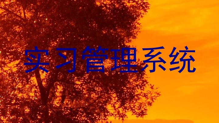 实习管理系统