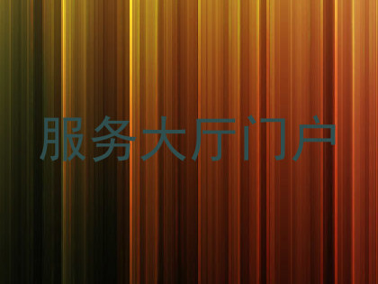 服务大厅门户