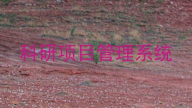 科研项目管理系统