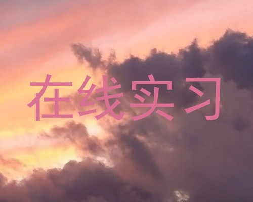 在线实习