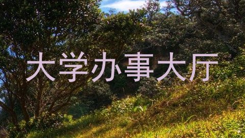 大学办事大厅