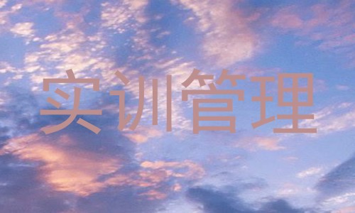 实训管理