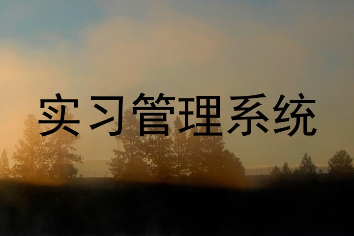 实习管理系统
