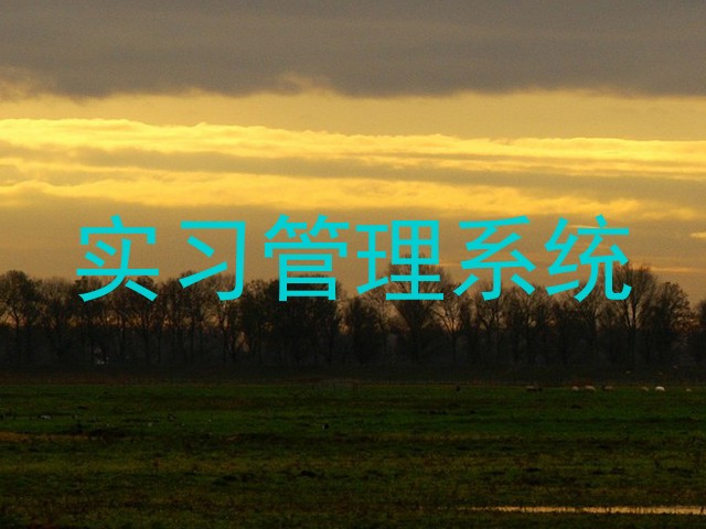 实习管理系统