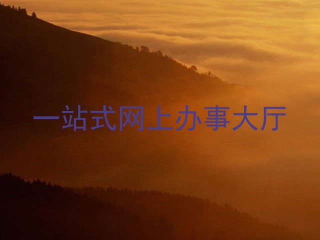 一站式网上办事大厅