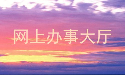 网上办事大厅