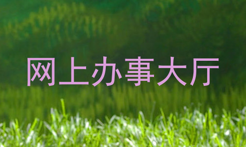 网上办事大厅
