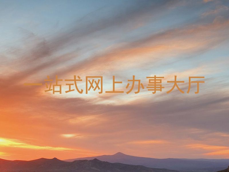 一站式网上办事大厅
