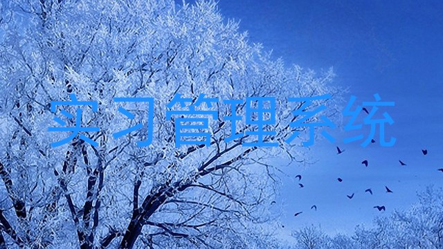 实习管理系统