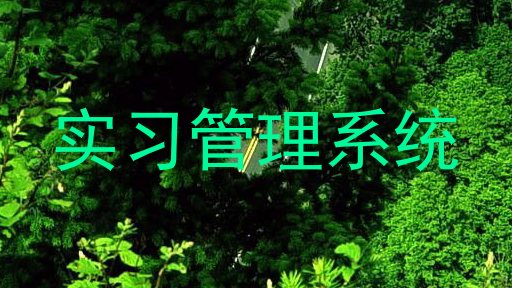 实习管理系统
