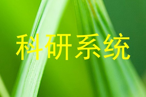 科研系统