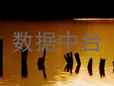 数据中台