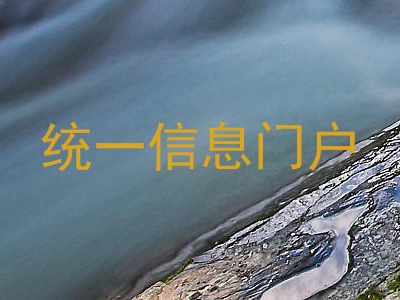 统一信息门户