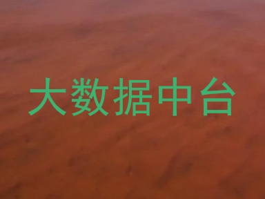 大数据中台