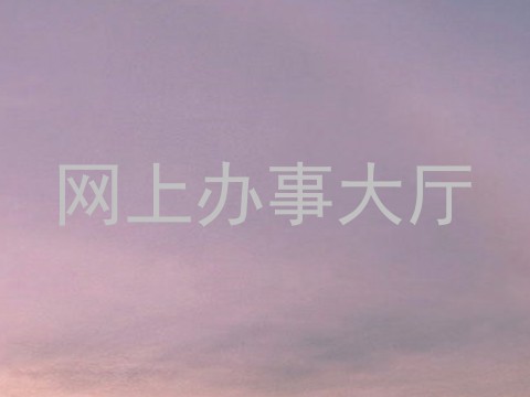 网上办事大厅