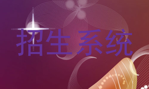 招生系统
