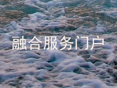 融合服务门户