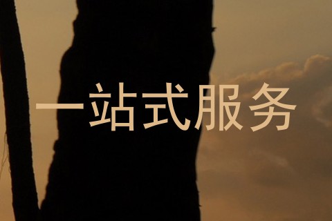 一站式服务