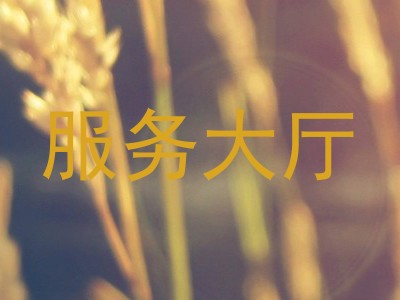 服务大厅