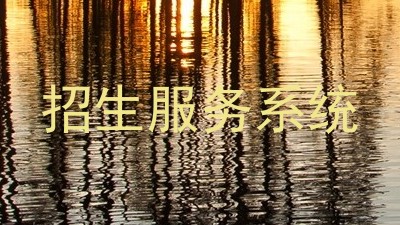 招生服务系统