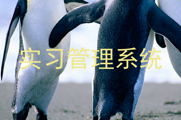 实习管理系统