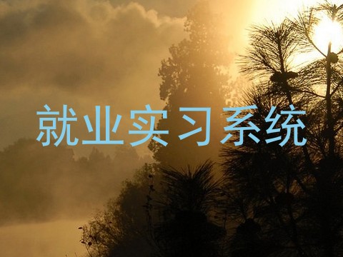 就业实习系统
