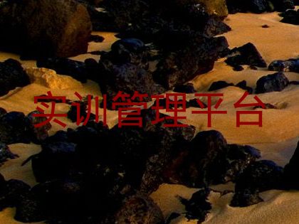 实训管理平台