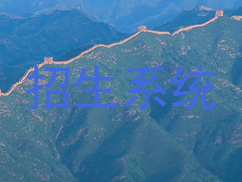 招生系统