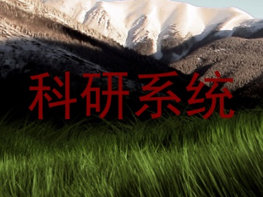 科研系统