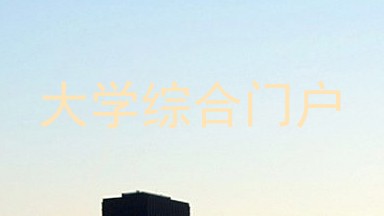 大学综合门户