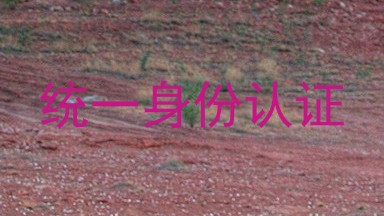 统一身份认证