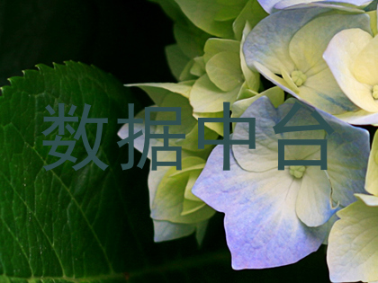 数据中台