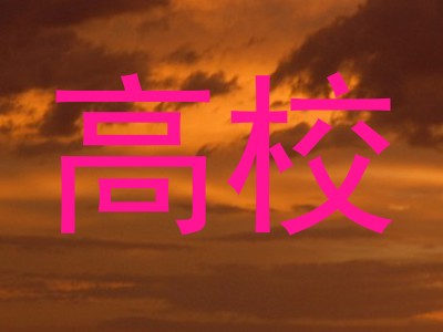 高校
