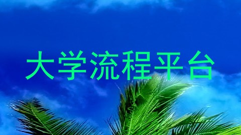大学流程平台