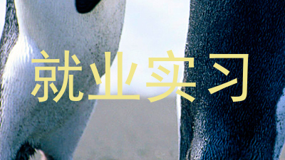 就业实习