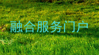 融合服务门户